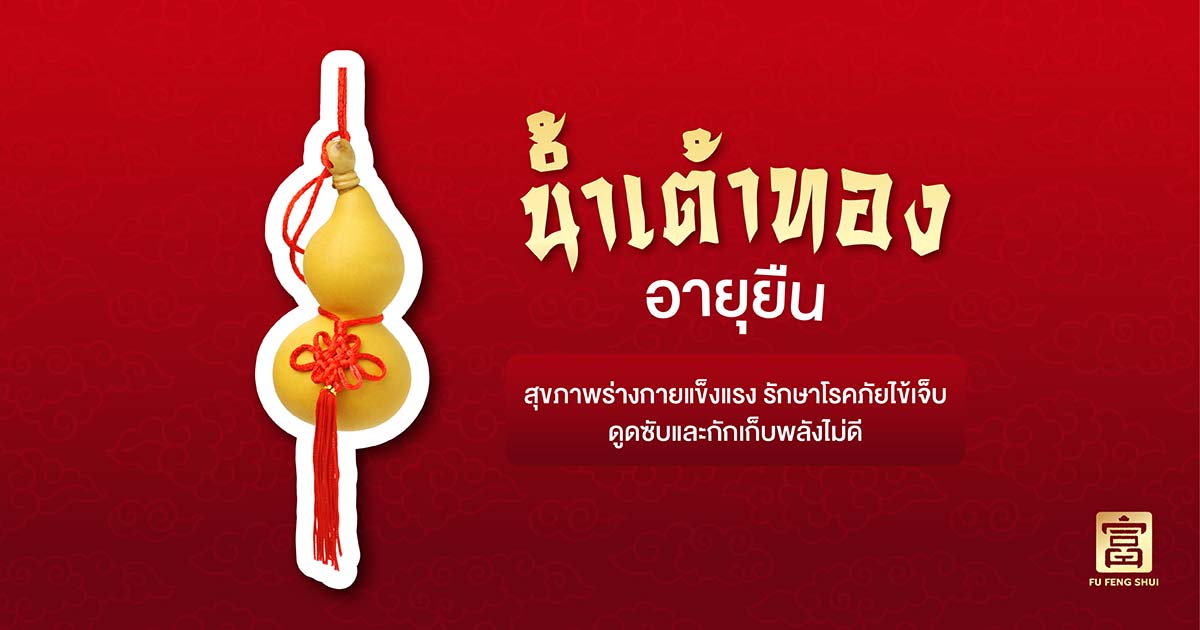 น้ำเต้าทอง ช่วยร่างกายแข็งแรง