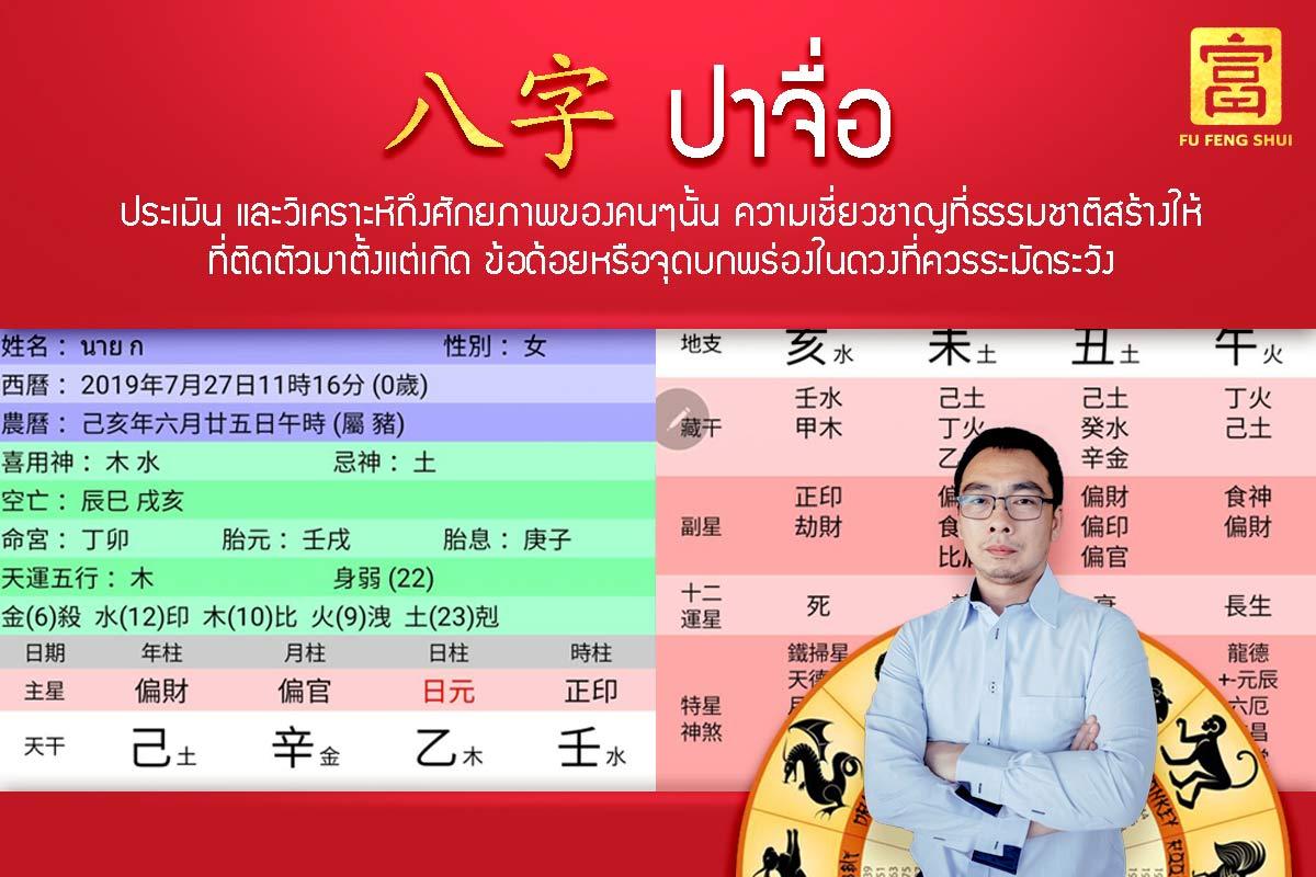 ปาจื่อ ดวงจีน ดูทำงานอะไรดี