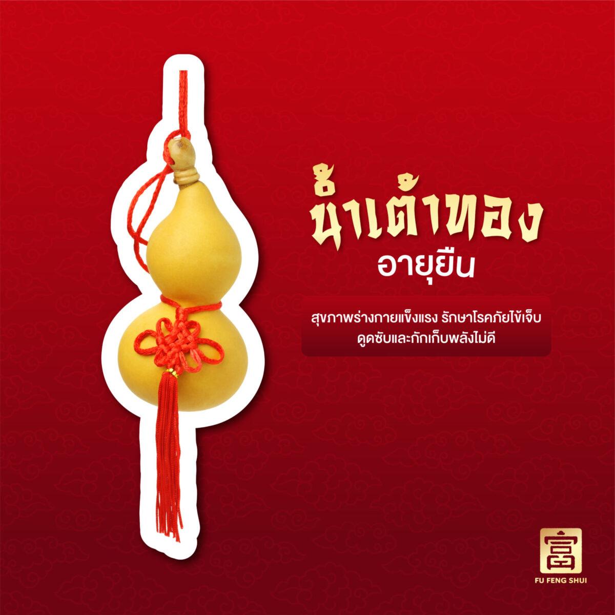 น้ำเต้าทอง อายุยืน
