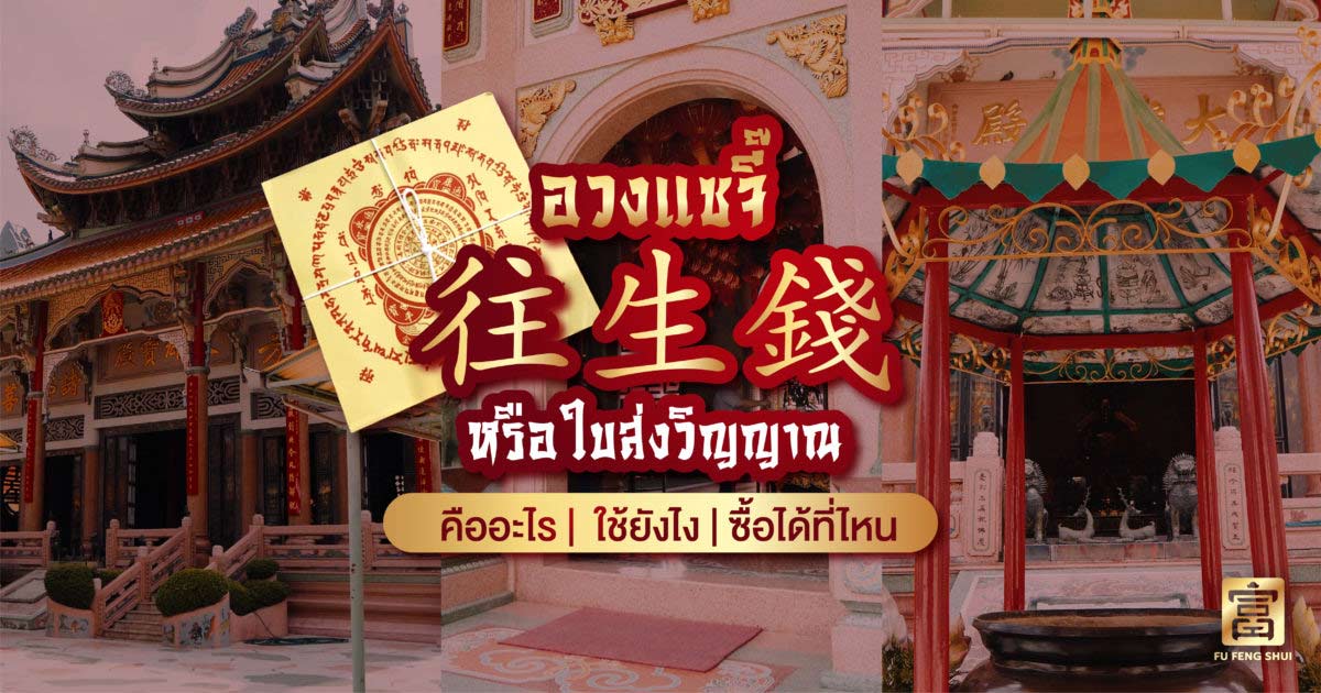 อวงแซจี๊ ใบส่งวิญญาณ