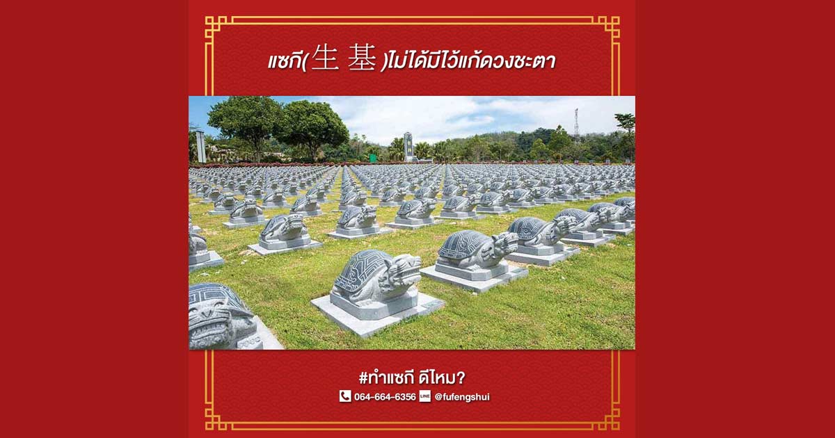 แซกี คืออะไร