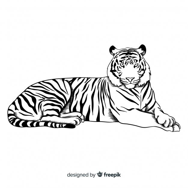 เสือขาว